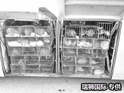 集裝箱的類(lèi)型 集裝箱的種類(lèi) 集裝箱用途 集裝箱規(guī)格 集裝箱箱型尺寸對(duì)照表、集裝箱尺寸表、集裝箱規(guī)格有幾種尺寸