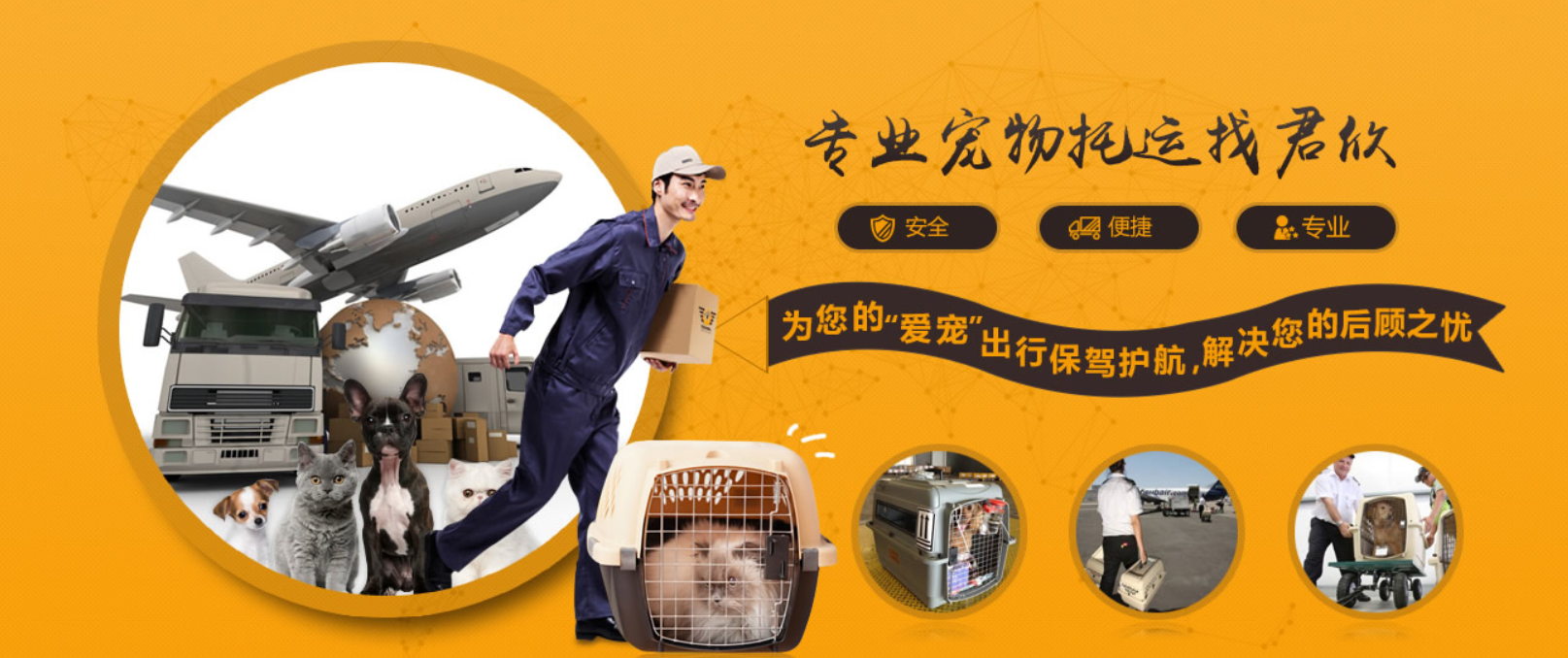 加拿大國際寵物托運(yùn)手續(xù)和托運(yùn)流程及注意事項(xiàng)