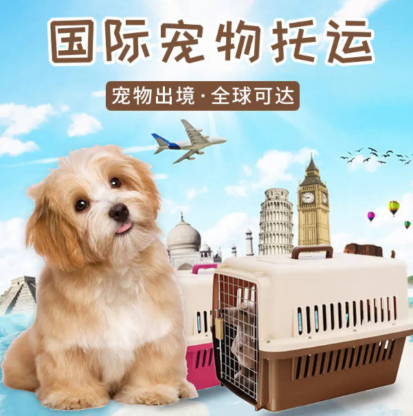 加拿大國際寵物托運(yùn)手續(xù)和托運(yùn)流程及注意事項(xiàng)