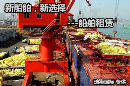 租船 租賃船舶 船舶租賃 件雜費 散雜船 散貨船 Broker BULk 租船 租賃船舶 船舶租賃 件雜費 散雜船 散貨船 Broker BULk